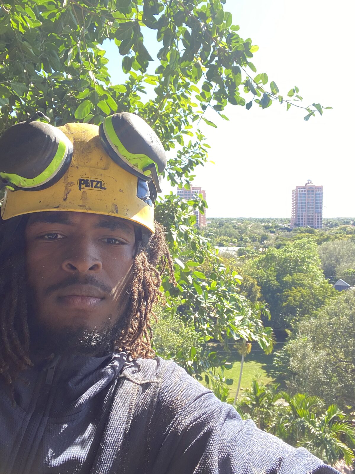 Arborist performing tree work on site