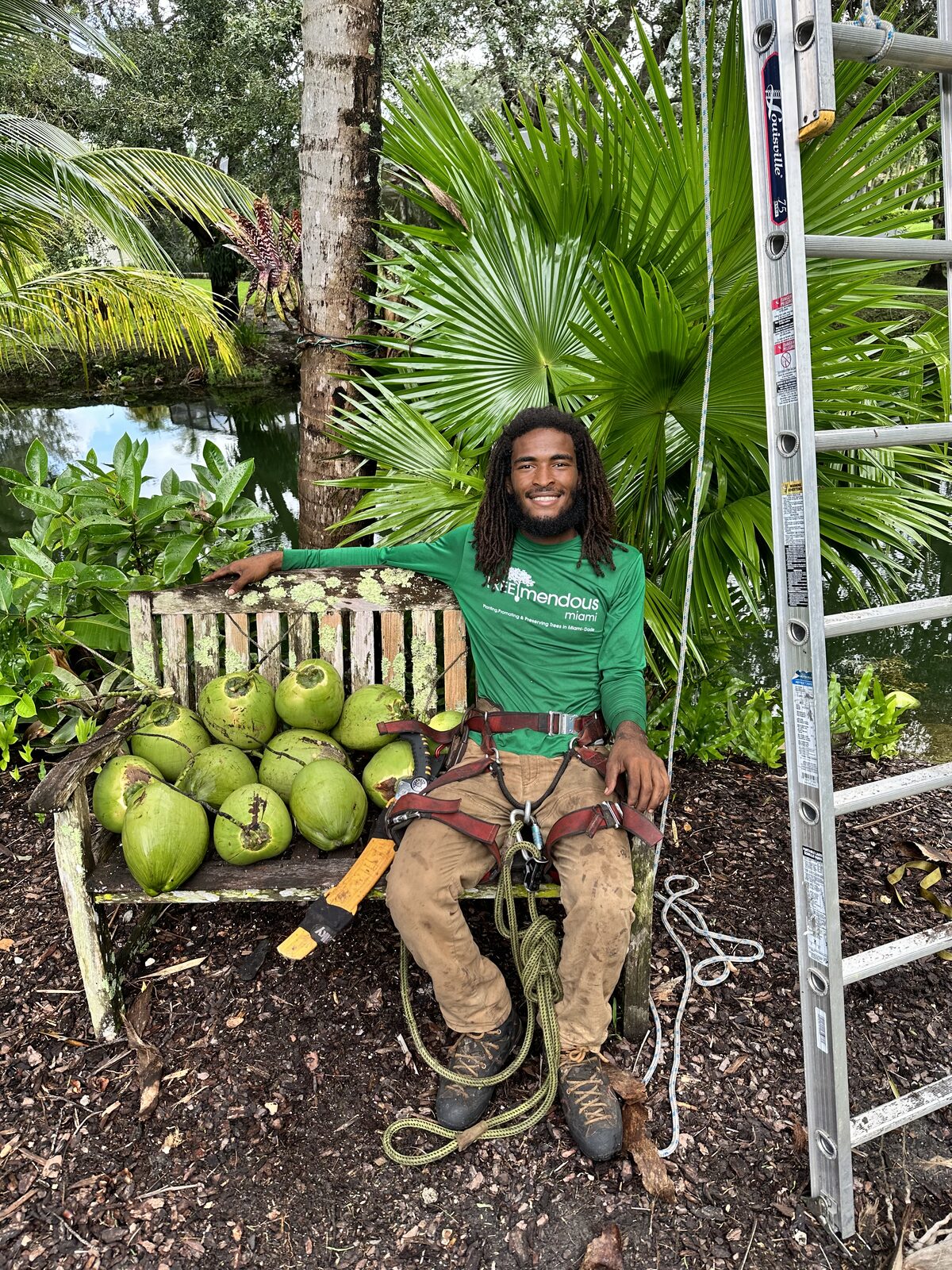 Crew member with a fresh coconut harvest after a palm trim
