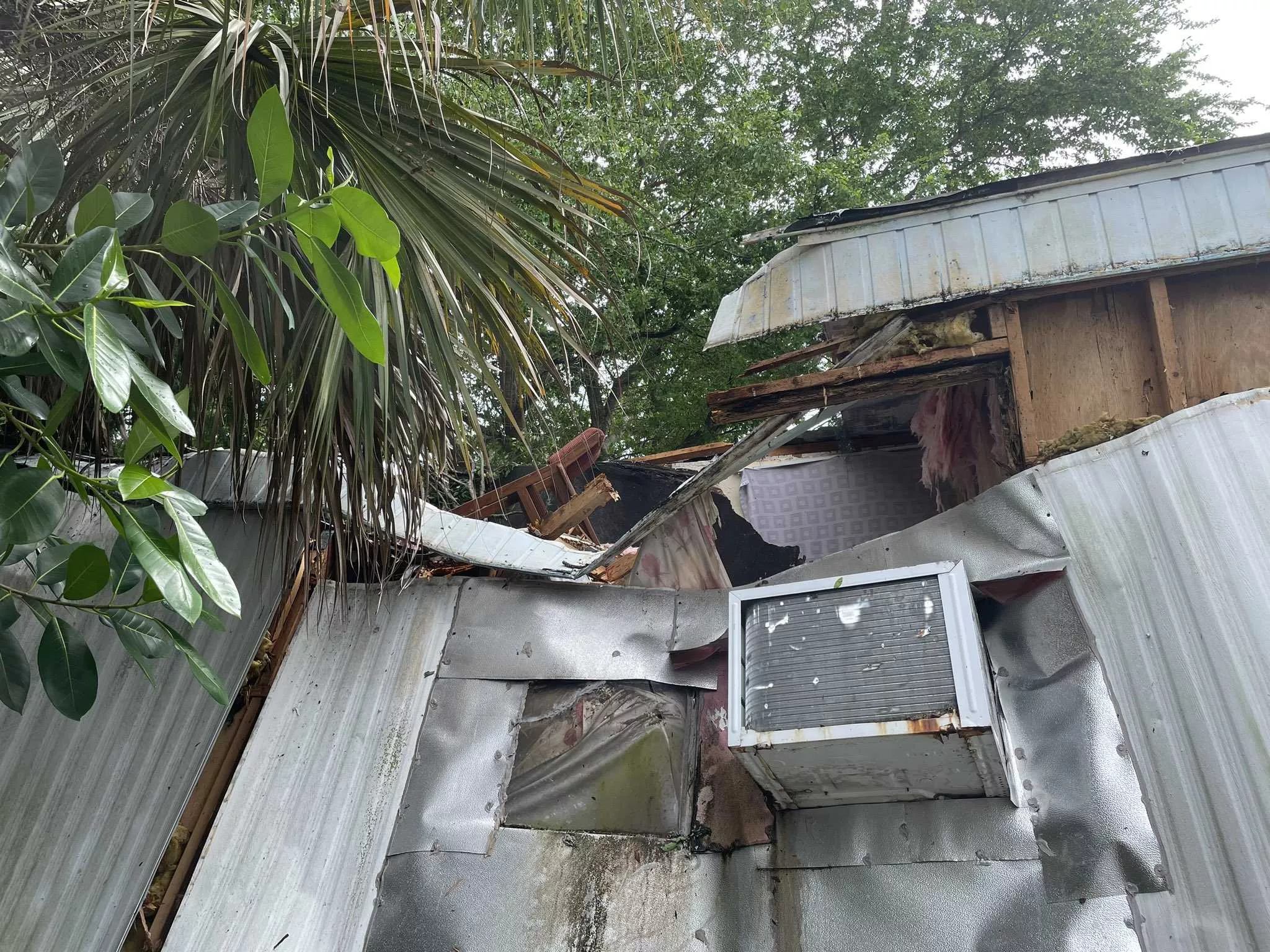 A home crushed by a failed tree, the kind of damage weak regrowth from topping can cause